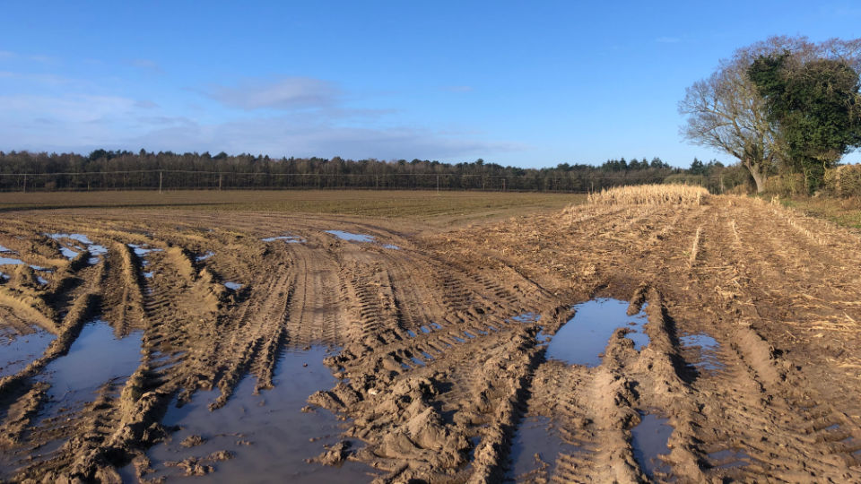 Docking Farm Solar Project