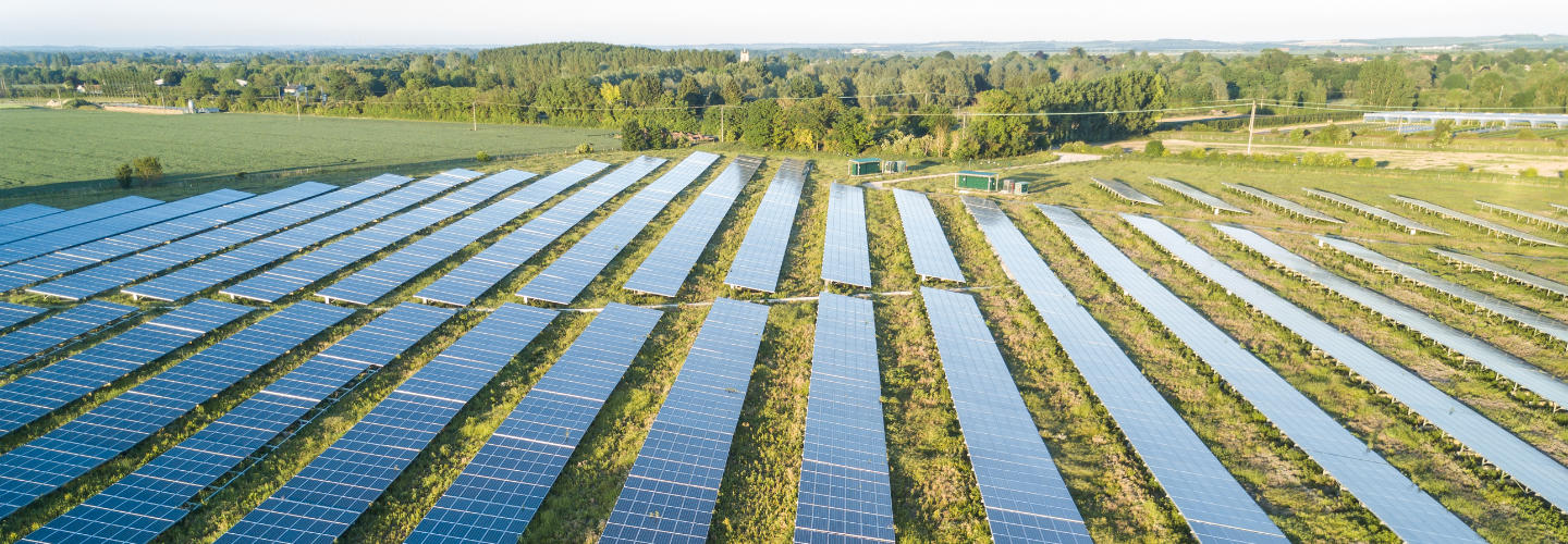 A large array of solar panels in a field